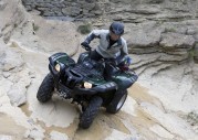 Yamaha Grizzly Yamaha Grizzly